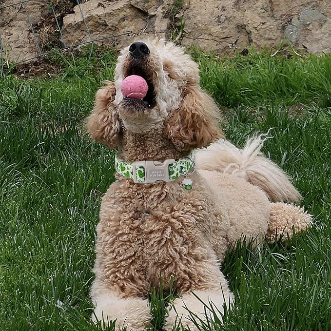 Unique style paws St. Patrick's Day Dog Collar Plastic Buckle Collar with Pendant Green Lucky Magic Hat Gift for Small Medium Large Boys Girls Dogs