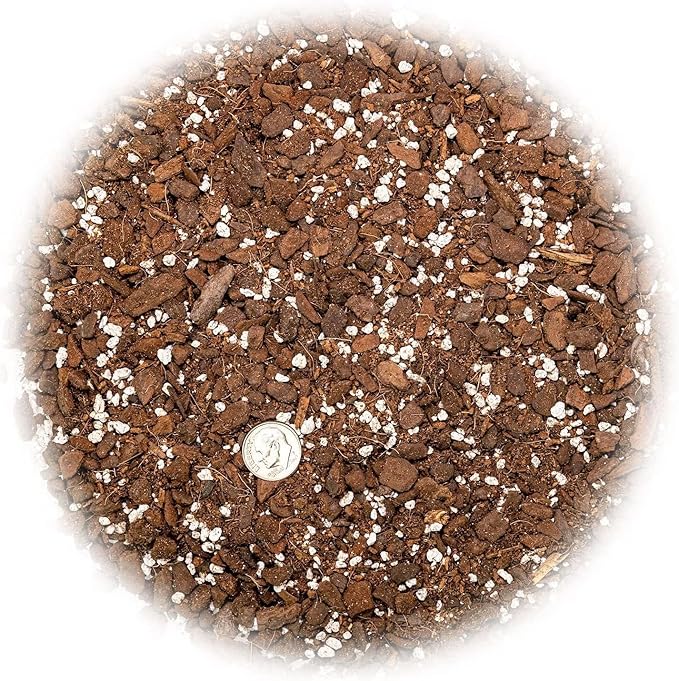 Monstera Dubia Soil Blend - Ensures Superior Aeration and Drainage for Vibrant Growth - 5 Quart