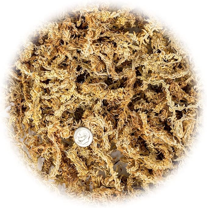 Premium New Zealand Sphagnum Moss by Gardenera - Organic Hand Mixed Long Fibered Sphagnum Moss Orchid - 3 Quart