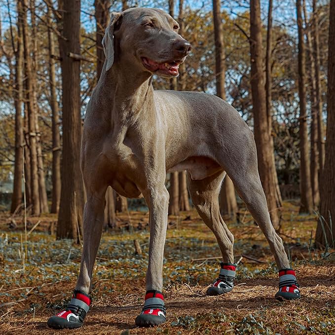 Dog Shoes for Large Dogs, Medium Dog Boots & Paw Protectors for Winter Snowy Day, Summer Hot Pavement,Waterproof in Rainy Weather,Outdoor Walking,Indoor Hardfloors Anti Slip Sole(Red, 3# (XS))