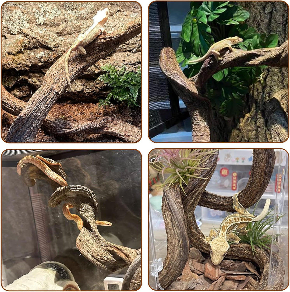 BNOSDM 3 Pcs Reptile Climbing Branches Decor,Snake Climbing Branch,Gecko Climb Wood,Lizard Forest Branch,Tank Habitat Tree Trunk Decorations for Bearded Dragons,Chameleons,Spider,Frogs (S)