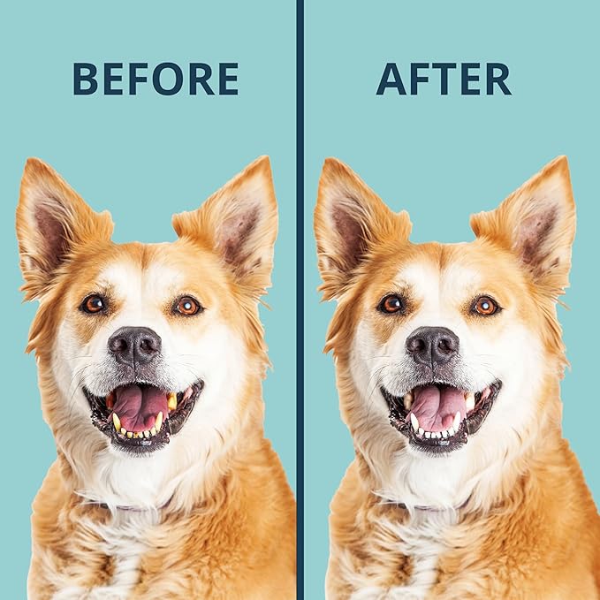 NOVEHA Pet Dental Powder | Vet-Approved Oral Care for Dogs & Cats | Natural Plaque Remover for Dogs Fresh Breath Formula | Easy Teeth Cleaning for Daily Use (2 - Packs)