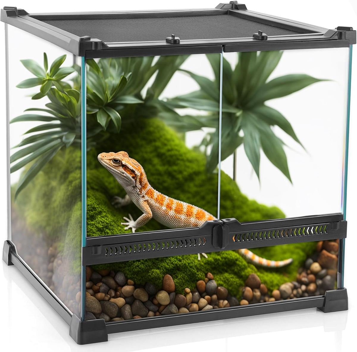 Mini Reptile Glass Terrarium 12"x12"x12" Durable Reptile Habitat Tank with Heat Resistant Aluminum Alloy Frame, Double Swinging Doors with no Jam by Sand and Other Debris
