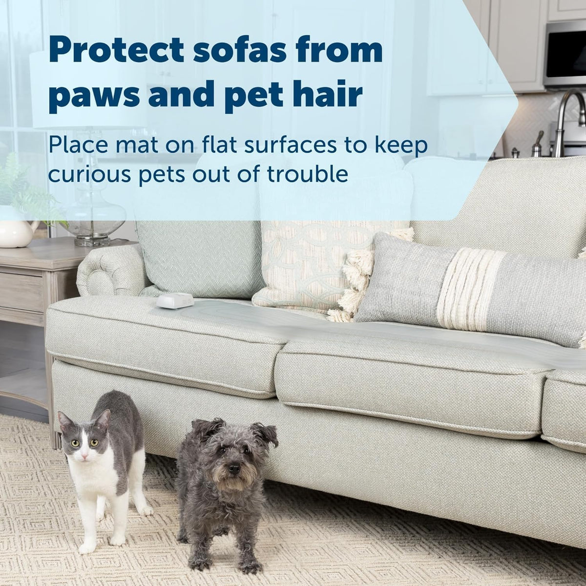 PetSafe ScatMat Indoor Electric Training Mat for Cats & Dogs, Sofa, 60" x 12"