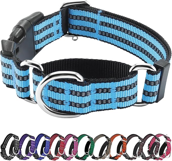Hikiko Martingale Dog Collars Reflective Nylon Dog Collar with Quick Release Buckle Adjustable Training No Slip Dog Collar (Medium, Light Blue)