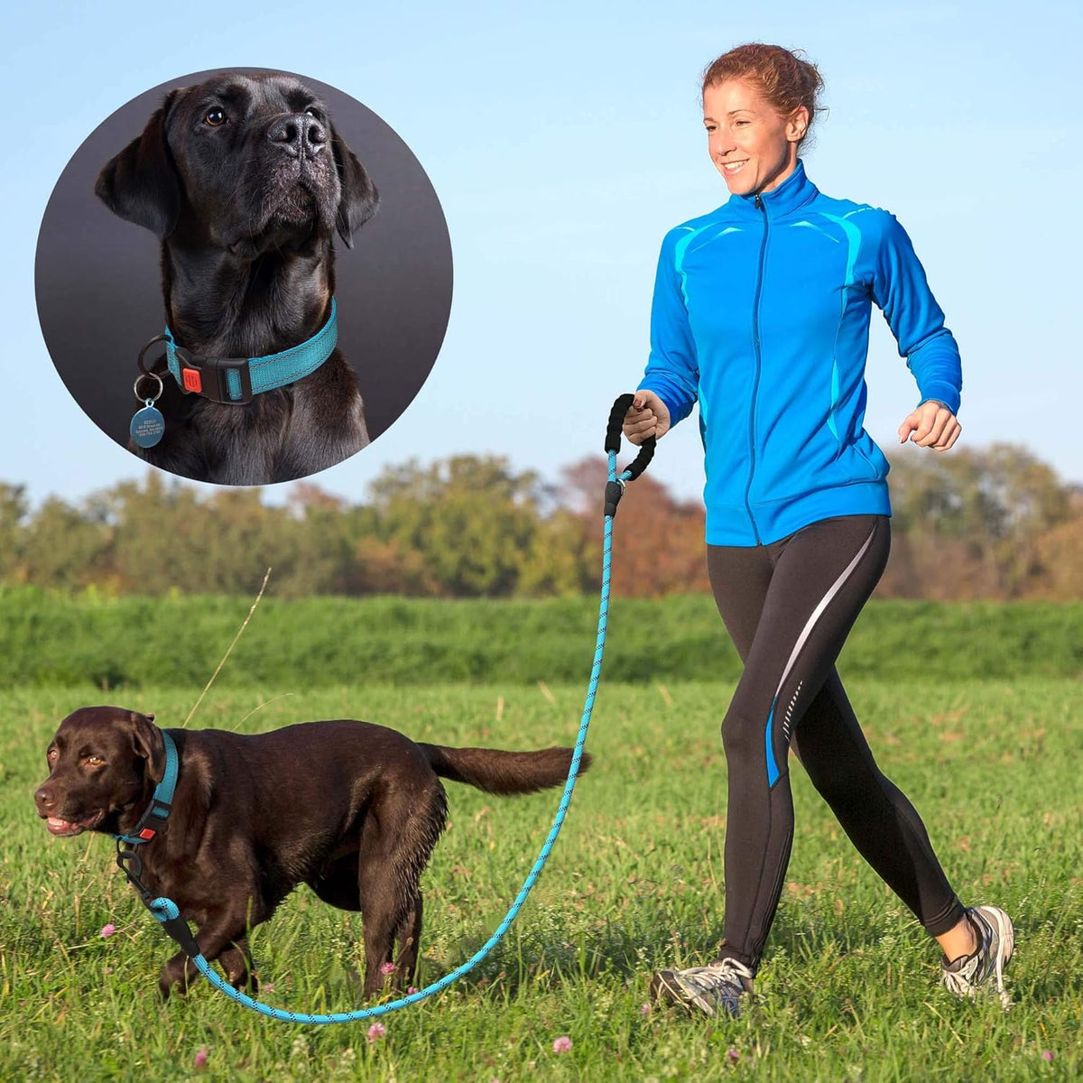 Heavy Duty Dog Leash - Comfortable Padded Handle, 5 ft Long - Dog Leashes for Small Medium Large Dogs (Leash+Collar L Neck 20"-25", Purple)