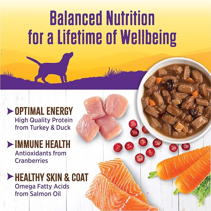 Wellness Complete Health Thick & Chunky Natural Grain Free Canned Wet Dog Food, Turkey & Duck Stew, 12.5-Ounce Can (Pack of 12)
