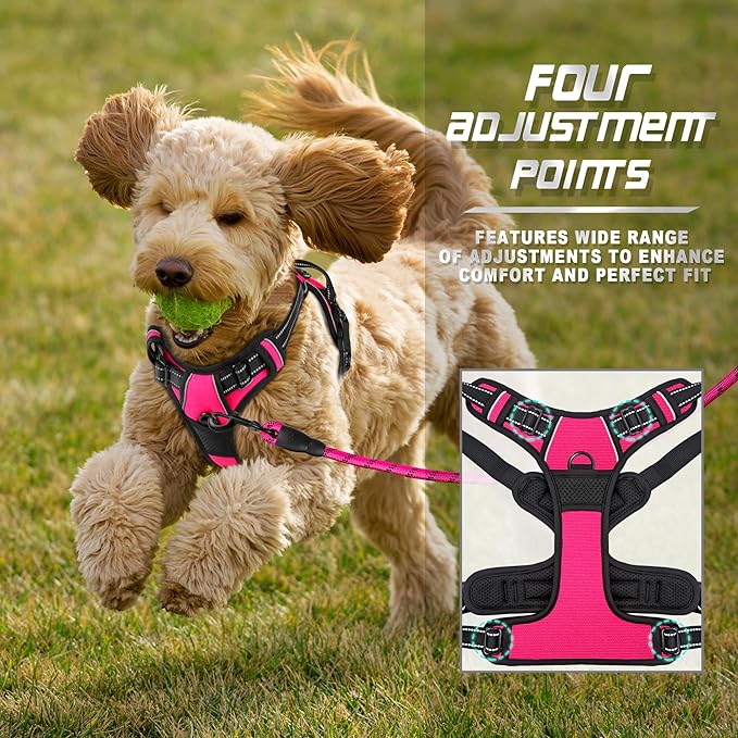 BARKBAY No Pull Dog Harness Front Clip Heavy Duty Reflective Easy Control Handle for Large Dog Walking(Pink,XS)