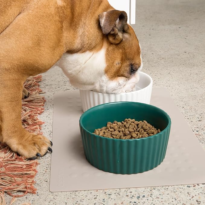 Waggo Ripple Ceramic Dog Bowl for Medium and Large Breeds - Modern with Matte Finish, Heavyweight Durable Pet Food and Water Dish Crock, Dishwasher Safe (Large, Teal)