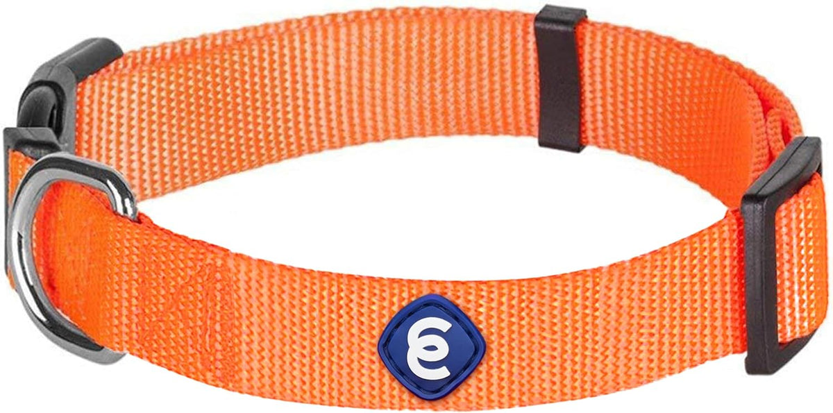 Blueberry Pet Essentials Small Dog Collar | Girl Dog Collars Fall | Female Dog Collar Small | Florence Orange Dog Collars for Small Dogs | Quick Release Dog Collar | Florence Orange Nylon Dog Collar