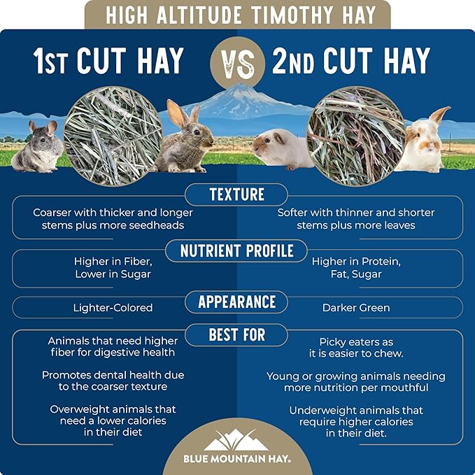Blue Mountain Hay | Fresh 2nd Cutting Timothy Grass Hay (10 Pounds) | Soft & Leafy, Balanced Nutrition | High-Altitude Hay Pet Food for Adult Rabbits, Guinea Pigs, Chinchillas, and Other Small Pets