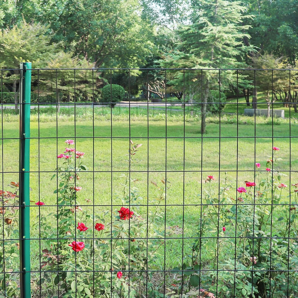 Black PVC Coated Welded Wire Fence 24 Inch x 50 Foot, 2 Inch x 4 Inch 15GA, Garden Border Fencing Roll Vinyl Coating Metal Wire Mesh Hardware Cloth for Yard Vegetable Plant Protection