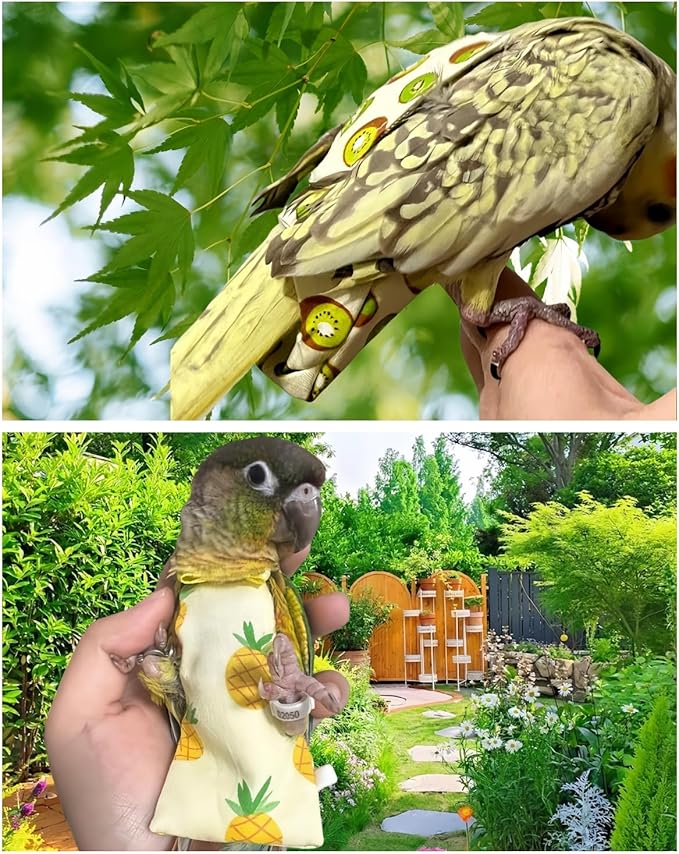5 Pcs Bird Diapers Bird Harness Flight Suits Diapers Reusable Parrot Nappy with Waterproof Inner Layer Washable Cute Urine Wet Suit for Cockatiel Budgie Conure Macaw Parakeet Lovebird,S