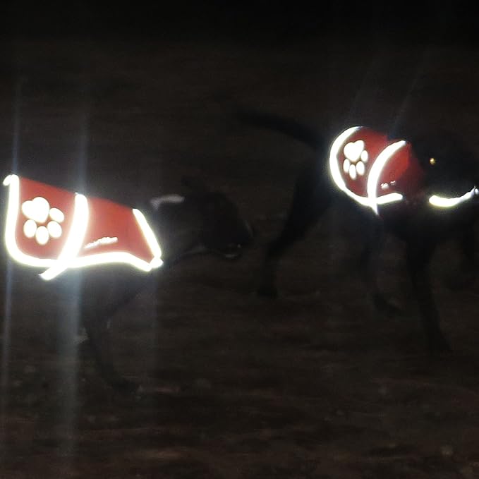 Dog Reflective Vest – Hi-Vis Fluorescent Visibility That Helps to Safeguard Your Pet On/Off Leash in Urban & Rural Areas (Pink, Small)