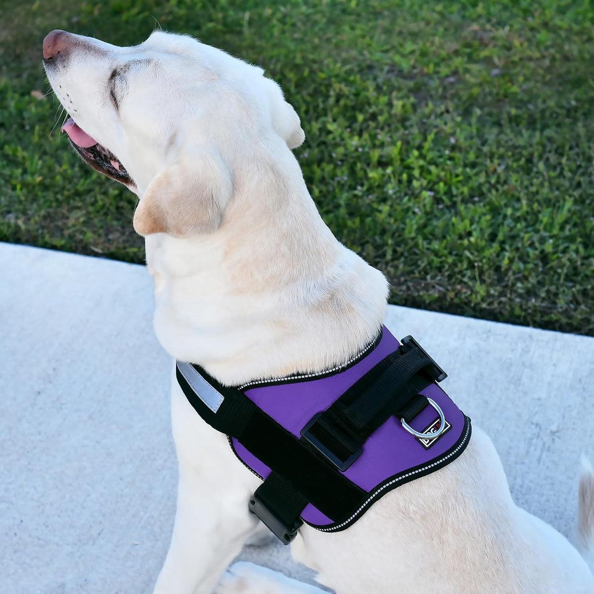 Dogline Dog Harness, Reflective No-Pull Adjustable Vest with Handle for Walking, Training, Breathable, No - Choke Harness for Small, Medium or Large Dogs Room for Patches Girth 22"-28" in Purple