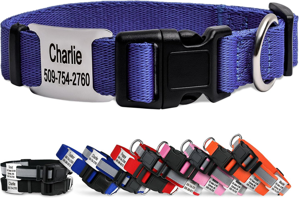 GoTags Personalized Dog Collar with Nameplate, Adjustable Dog Collar with Custom Engraved Slide On Pet ID Tag in Stainless Steel, Silent, No Noise Dog Tag (Lavender, Medium)