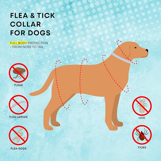 Flea and Tick Prevention Collars for Dogs: Effective Pet Flea Tick Treatment for Dog Collar - Adjustable Natural Flea Tick Collars for Extra Large, Medium, Small Dogs, Fleas Ticks Control for Puppies