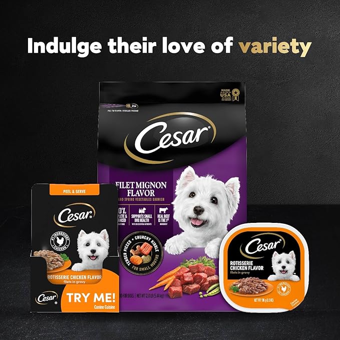 Cesar Filets in Gravy Wet Dog Food Filet Mignon Flavor and Rotisserie Chicken Flavor Variety Pack, 1.76 oz. Mini-Pouches (20 Count, Pack of 2)