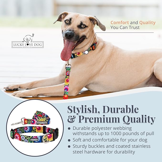 Lucky Love Dog - Easy Click Buckle Dog Collar with Leash Set Combo, Durable & Comfortable for Male & Female Dogs, Pet Collar for Small Dogs, Secure Fit - Blackbird Combo, Small