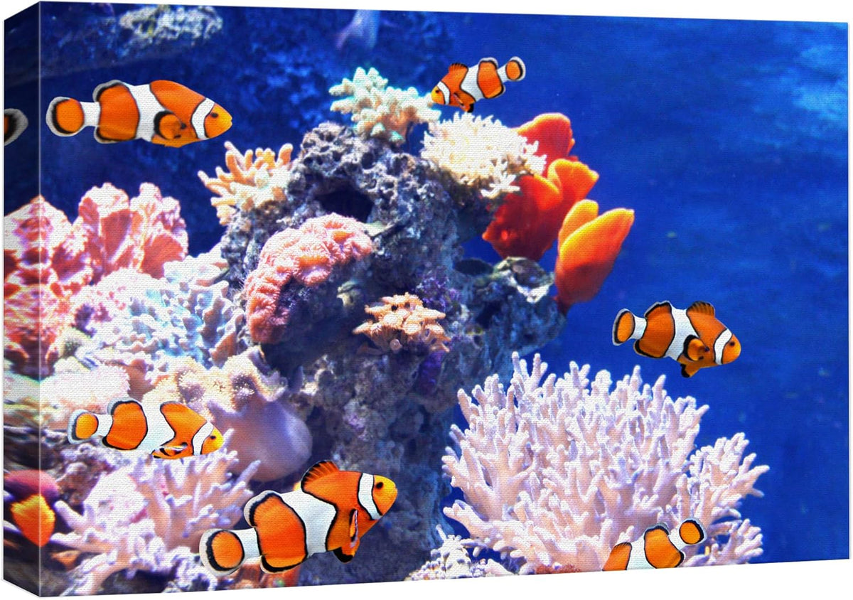 wall26 Canvas Print Wall Art Clownfish Underwater Tropical Coral Reef Nature Animals Photography Realism Rustic Scenic Landscape Wilderness Earth Colorful for Living Room, Bedroom, Office - 32"x48"