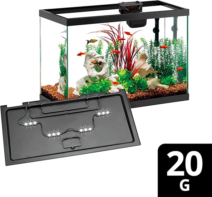 Aqueon Aquarium Starter Kit with Smart Clean Filtration and LED Lighting, Freshwater and Saltwater Fish, Perfect for Gouramis, Barbs, Bettas, 20-Gallon