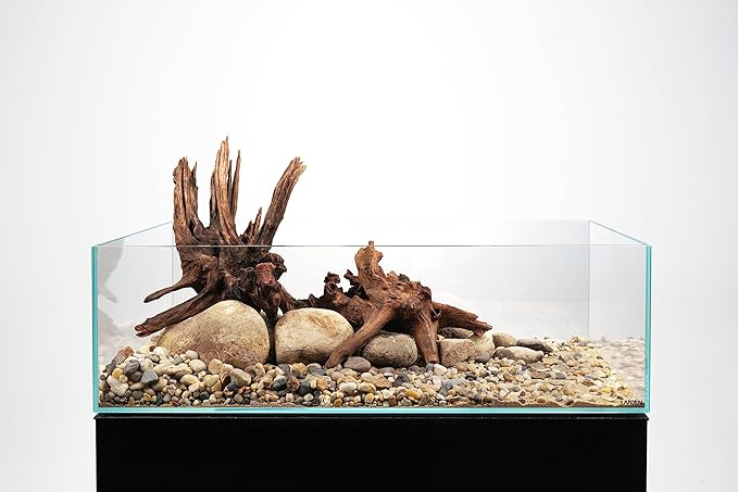 LANDEN Panna Natural Driftwood for Aquarium Decor Freshwater Fish Tank(12-14 inches, 30-35cm) 4pcs Terrariums Vivariums Reptile and Amphibian Enclosures Lizard Bearded Dragon Tortoise Various Shapes