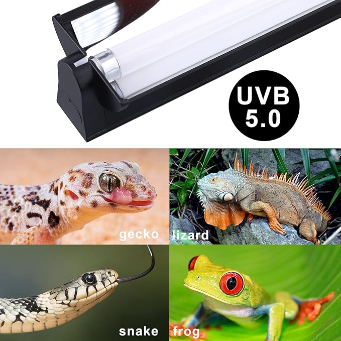 Aiicioo T5 UVB Lighting Combo Kit 24W - T5 UVB Reptile Light Fixture and 5.0 UVB Light Bulb for Bearded Dragon Leopard Gecko (22Inch 24W)