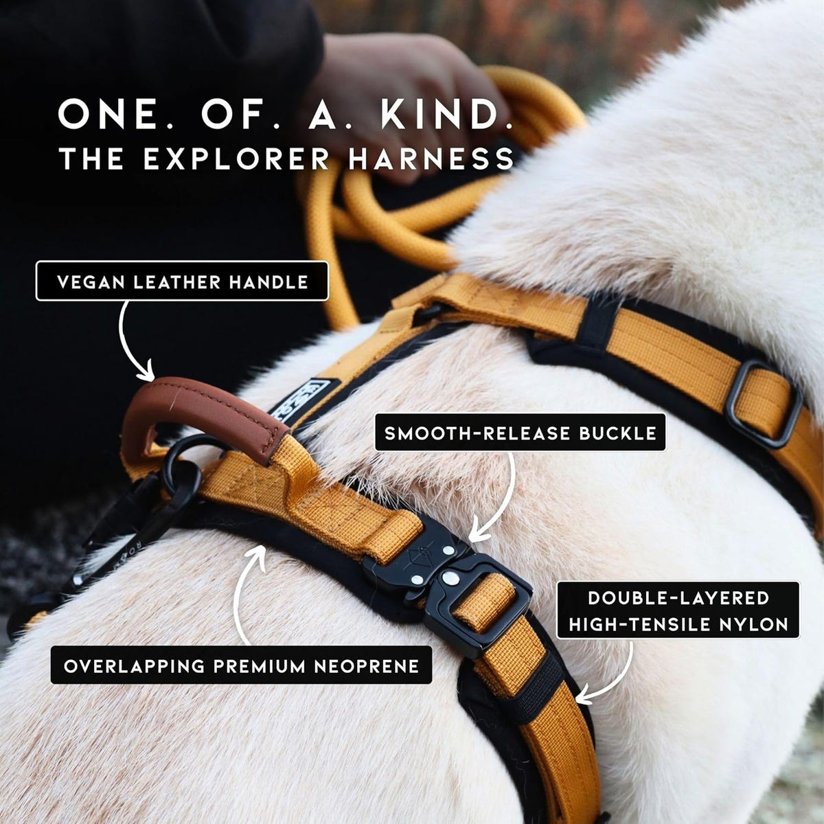 MADE TO ROAM Premium Explorer Harness - Y-Shaped Dog Harness with Adjustable Durable Nylon, Soft Padding, Metal Buckles and Leather Handle for Small, Medium, Large Dogs (Vermont Weekends, Size 2)