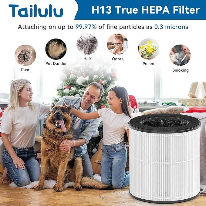 Tailulu Official AP100 Air Purifier Replacement Filter, 3-in-1 Air Purifier Filter, True H13 Filter, 1Pack