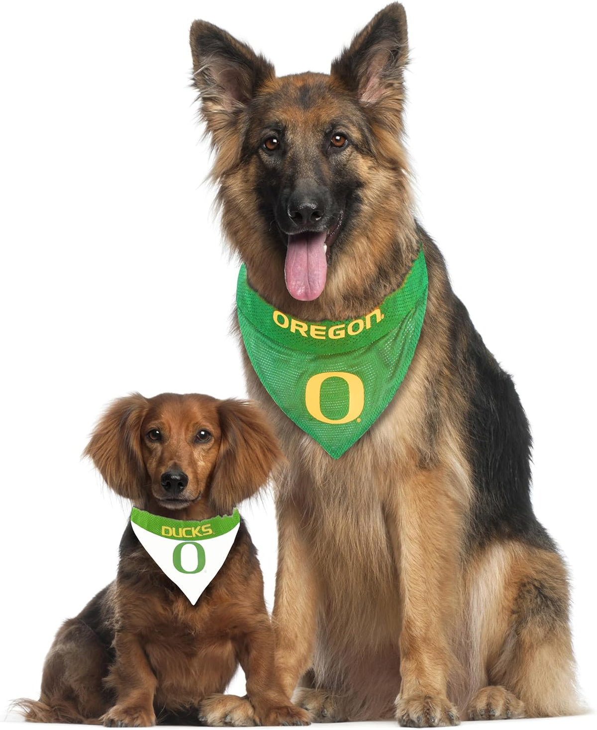 Pets First Collegiate Pet Accessories, Reversible Bandana, Oregon Ducks, Large/X-Large
