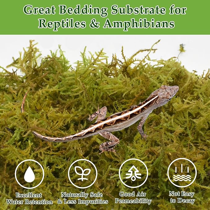 Halatool 12OZ Natural Sphagnum Moss for Reptiles- 18QT Green Moss for Terrarium Plants Long Fiber Reptile Moss for Leopard Gecko Snake Hamsters Tortoises Frogs Lizards Salamanders