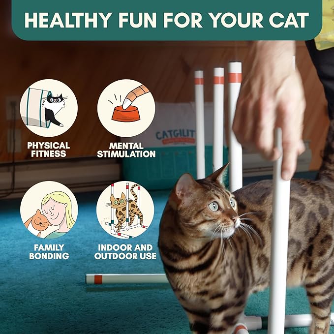 ALBERT & MIA CATGILITY Cat Agility Equipment + Clicker Trainer Guide – Exercise Agility Course – Jumping Hurdles & Hoop, Tunnel (Small Dog & Cat Training) Clicker Training Obstacle Course for Cats