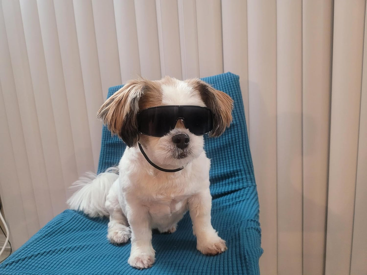 G029 Small Dog Breed 8-18lbs Pet Puppy Cat Sports Turbo Sunglasses (Sport Turbo Black)