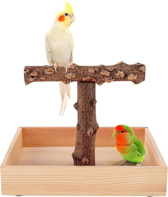 Bird Perch, Portable Tabletop Bird Stand, Training Play T Shaped Stand for Parrot Parakeet Cockatiels Conures Budgies Finch Lovebirds