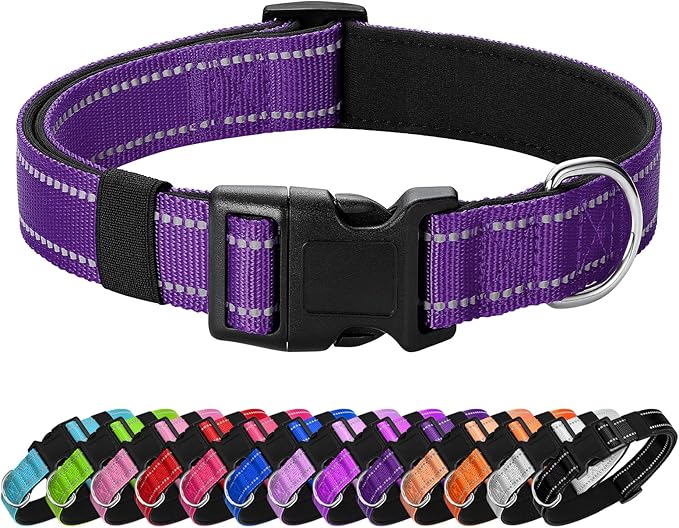Reflective Dog Collar Padded with Soft Neoprene Breathable Quick Release Basic Dog Collars for Large Dogs Purple Girl