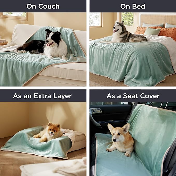 Bedsure Waterproof Dog Blankets for Medium Dogs - Medium Cat Blanket Washable for Couch Protection, Sherpa Fleece Puppy Blanket, Soft Plush Reversible Throw Furniture Protector, 30"X40", Light Green
