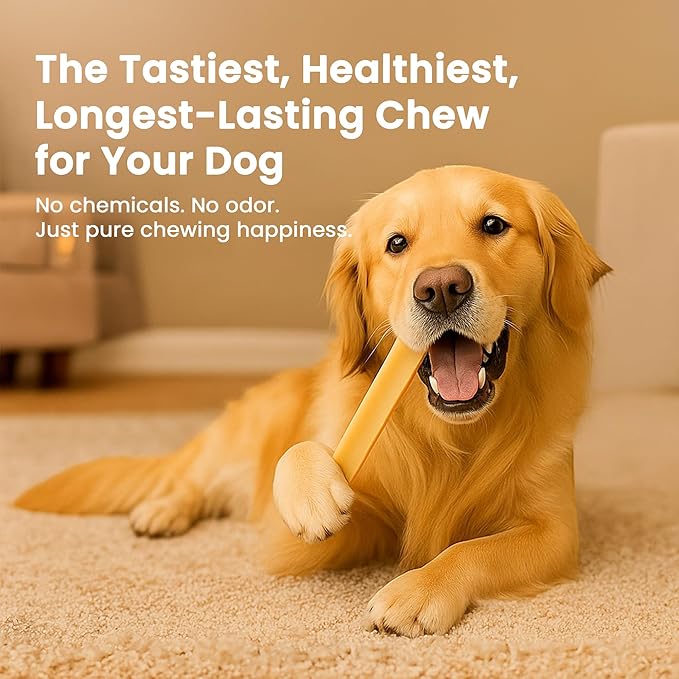 Authentic Himalayan Yak Cheese for Dogs - Mega (Pack of 1) - Sourced from Pristine Himalayan Foothill, Rawhide-Free, NO preservatives