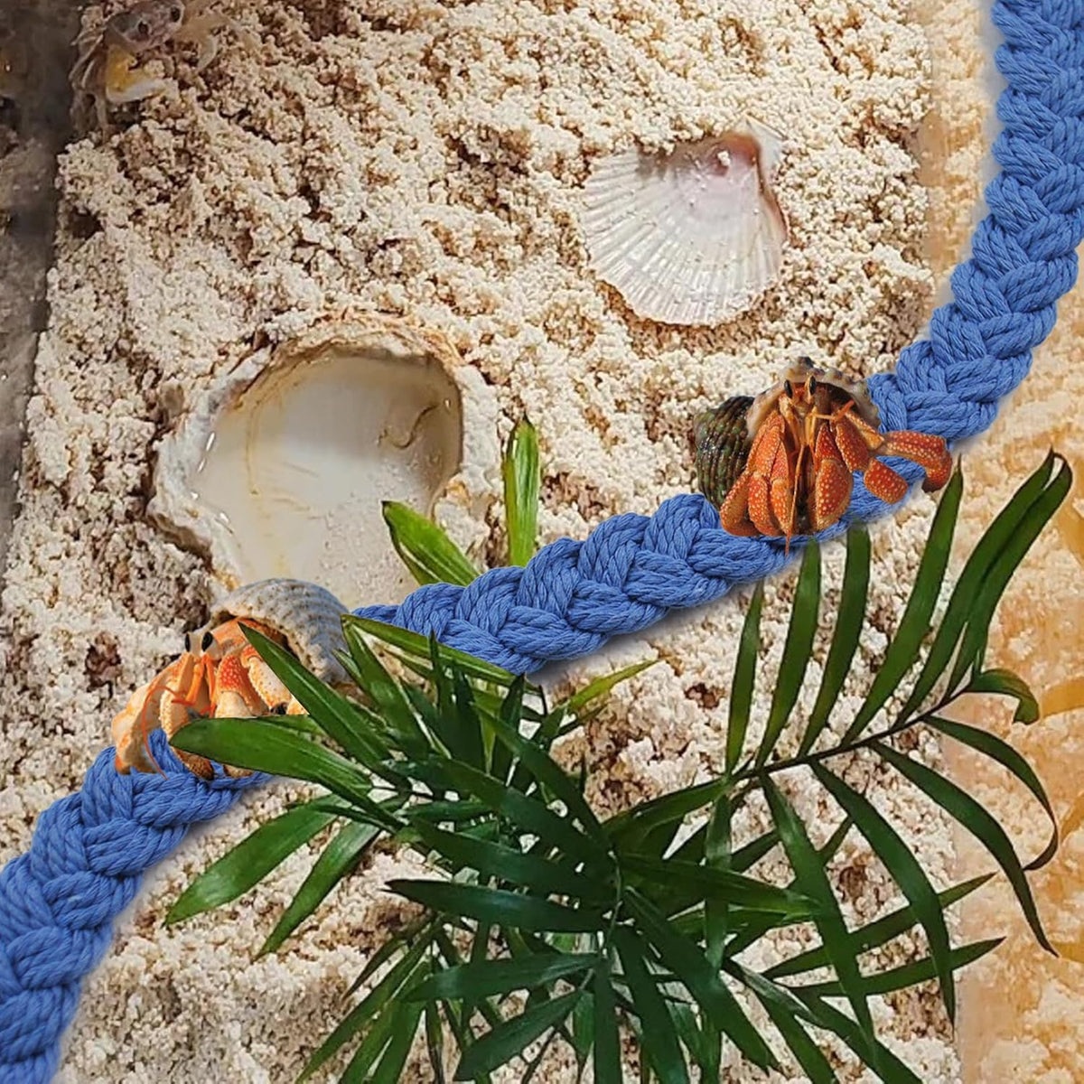 2PCS Hermit Crab Climbing Toys,Hermit Crab Rope Ladder Decor Reptile Hanging Vines Toys Hermit Crab Supplies Reptiles Habitat Tank Terrarium Accessories for Lizard Leopard Gecko Tree Frog(Blue)