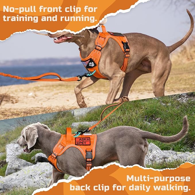 rabbitgoo Tactical Dog Harness for Large Dogs, No Pull Military Service Vest with Handle & Molle, Easy Control for Training Walking, Adjustable Reflective Straps, Orange, XL