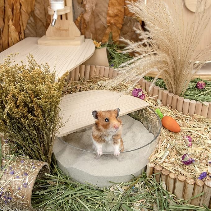 Niteangel Training Litter Potty Sand - Hamster Sand Bath for Syrian Dwarf Hamsters Gerbils Mice Lemming Degus or Other Small-Sized Pets ((1.4 L X 2 - Blue Label)