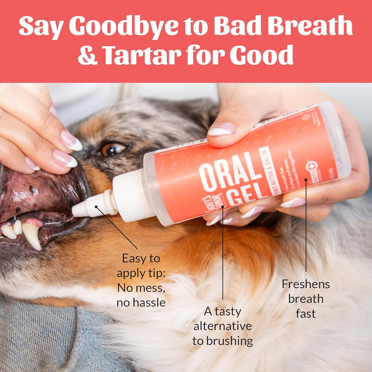 SKOUT'S HONOR Peanut Butter & Bacon Oral Gel - Fights Plaque and Tartar, Freshens Breath Fast, No Brushing Required, 4 oz, 2-Pack