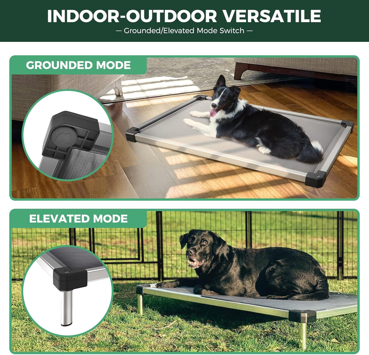 FXW TitanNest Chew-Proof Elevated Dog Bed, Raised Cot for Indoor/Outdoor/Camping Use, Durable & Washable Padded Pet Bed for Extra-Large Dogs, 56.0" L x 31.0" W x 7.3" H, Gray