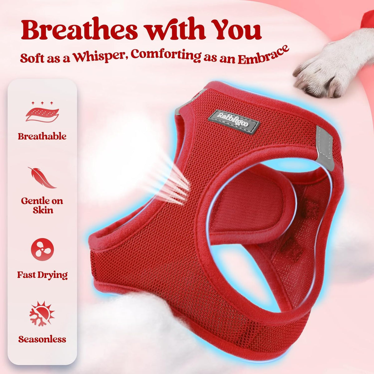 rabbitgoo Dog Harness Small Medium Sized and Leash Set, Step in Soft Light Puppy Vest, Breathable Mesh Pet Harness, Reflective for Safe Easy Walking, Red L