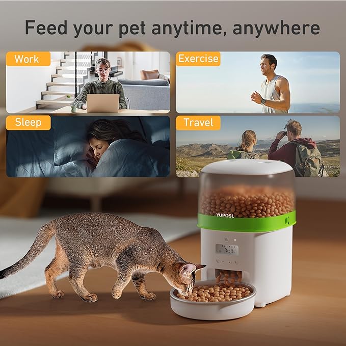 Automatic Cat Feeder - 2L Cat Food Dispenser, Timed Auto Pet Feeder with 180-day Battery Life, 1-6 Meals Per Day, 1-16 Portion, Desiccant Bag Keeps Dry Food Fresh, Also for Small Dogs
