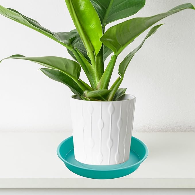 6 Pack of 6 inch Plant Saucer Drainage Tray, 4 5 7 8 10 12 13 15 17 19 inch Plastic Plant Water Tray, Flower Saucers for Indoors, Plant Dishes for Pots Base (6 inch, Teal)