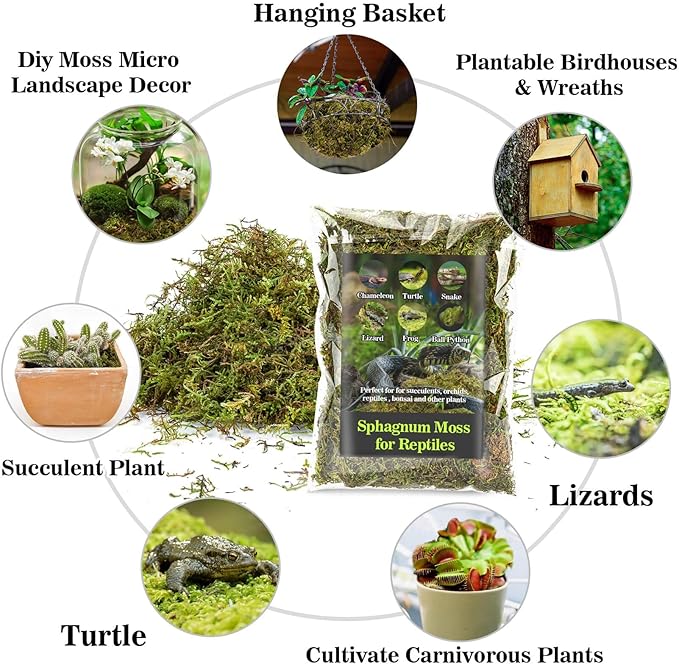 Sukh Sphagnum Moss for Reptiles -Terrarium Moss for Reptiles Peat Moss for Reptiles Habitat Bedding Moss for Snakes Turtle Frog Gecko and Other Reptiles Substrate (15.8, Ounces)