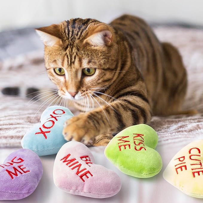MALLMALL6 5Pcs Sweet Conversation Heart Catnip Toys Gift for Cat, Indoor Kitten Chew Bite Kick Candy Catmint Pet Supplies, Cute Interactive Cat Toy for Pet Presents
