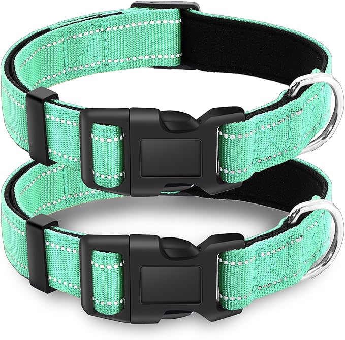 2 Pack Reflective Dog Collar with Safety Locking Buckle, Adjustable Soft Breathable Comfortable Nylon Pet Collar for Small, Medium and Large Dogs, Turquoise, XS