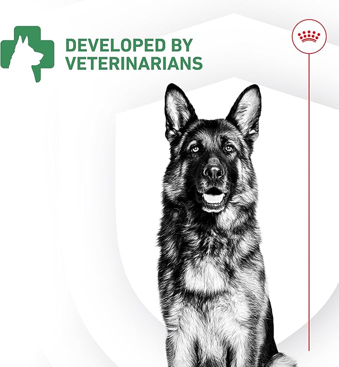 Royal Canin Probiotics for Dogs Digestive and Immune Health Powder Supplement for Dogs of All Ages, 7 Count