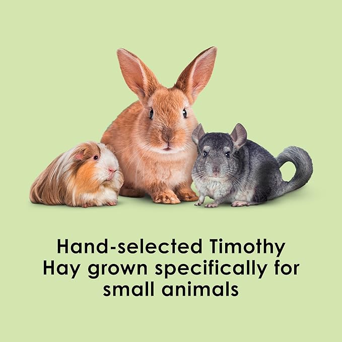 Kaytee Timothy Hay, High Fiber, Grown Specifically for Small Animals, Rabbits, Guinea Pigs, Chinchillas, Ideal Bulk Order for Small Pets, 24 pounds